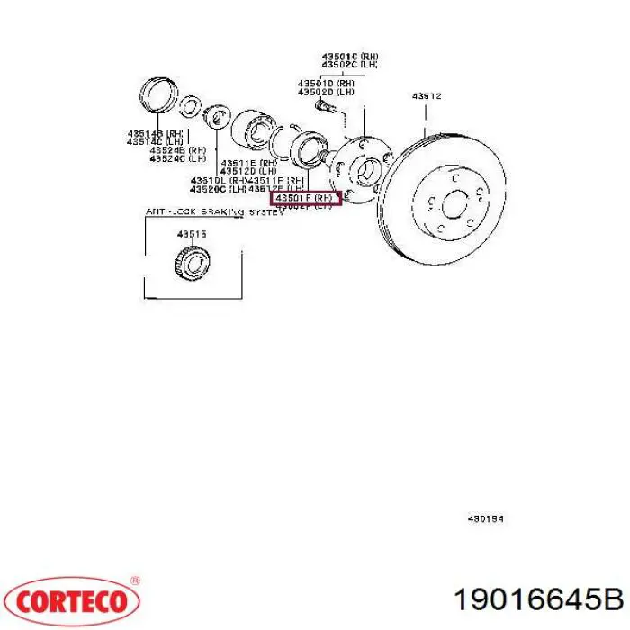 19016645B Corteco Сальник задньої маточини