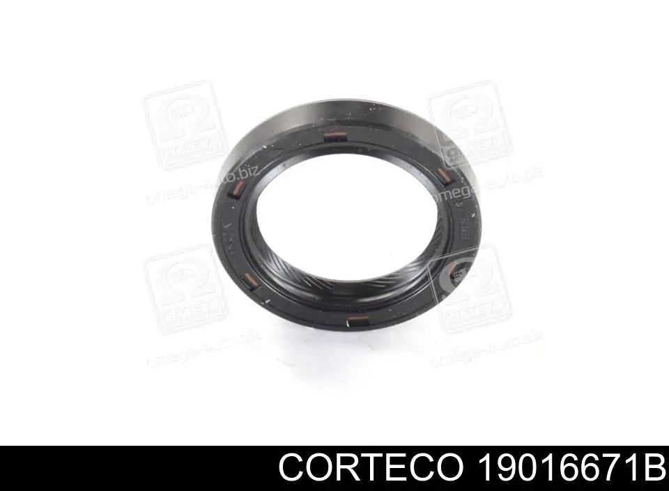 Сальник двигуна, распредвала Corteco 19016671B ціна, від 2.01 USD