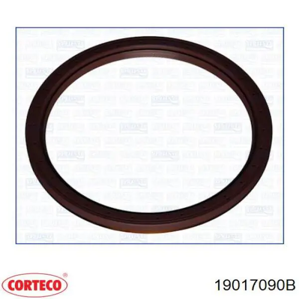 Купити 19017090B Corteco Сальник рульової колонки