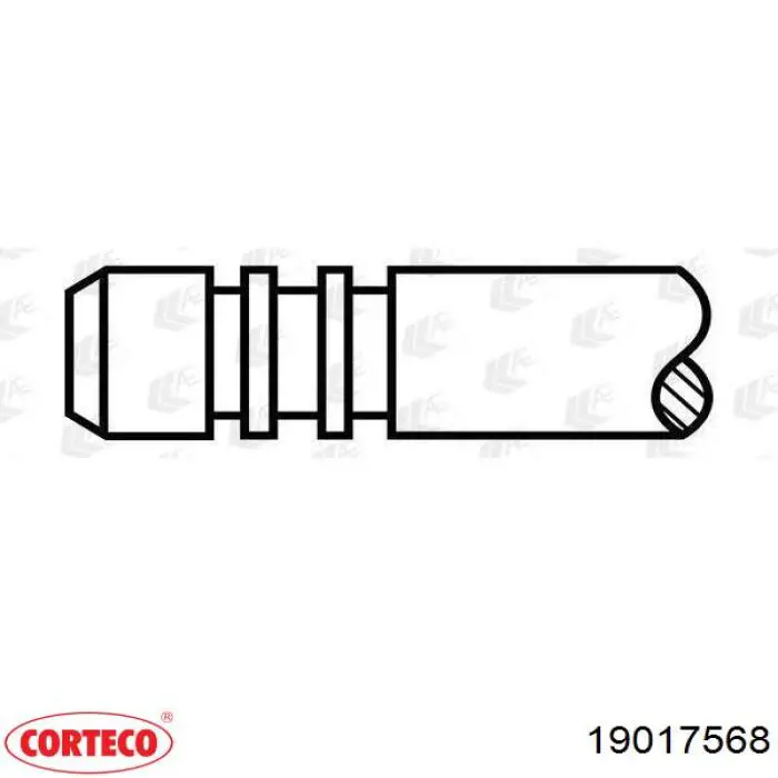 Купити 19017568 Corteco 