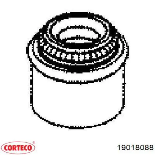 19018088 Corteco сальник клапана (маслознімний, впуск/випуск)