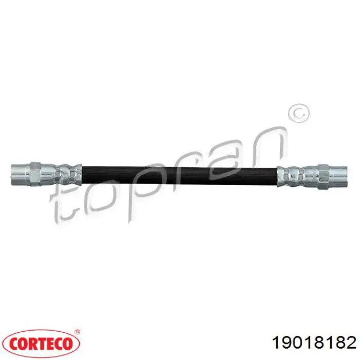 Шланг гальмівний задній Corteco 19018182 ціна, від 3.97 USD