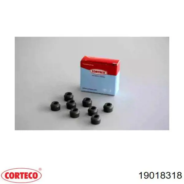 19018318 Corteco сальник клапана (маслознімний, впуск/випуск, комплект на мотор)