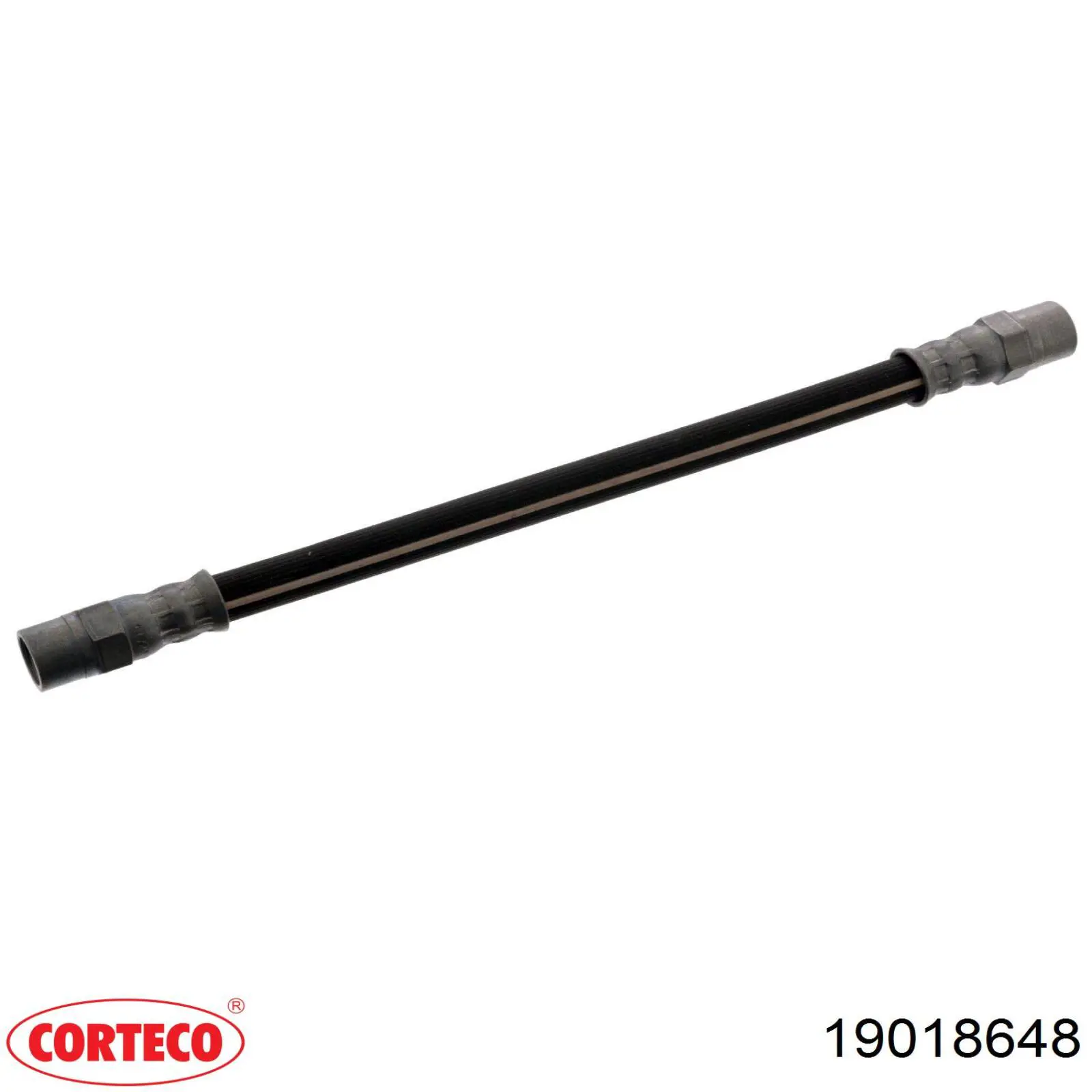 Шланг гальмівний задній Corteco 19018648 ціна, від 5.63 USD