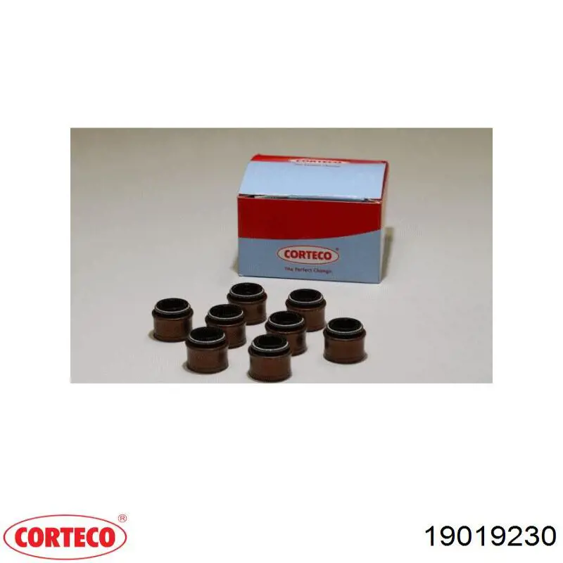 19019230 Corteco сальник клапана (маслознімний, впуск/випуск)