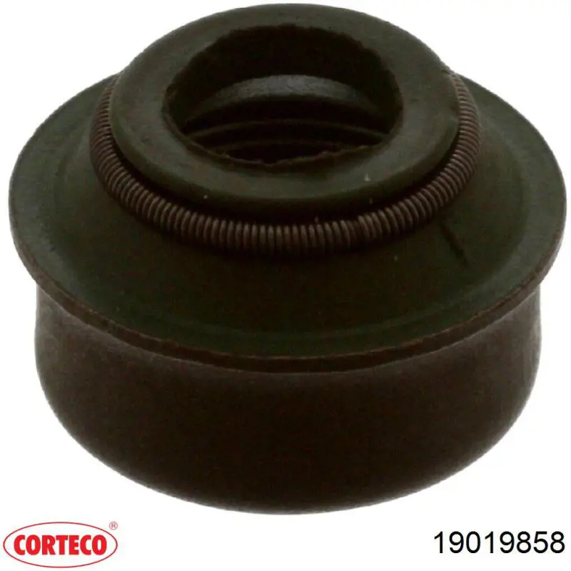 19019858 Corteco сальник клапана (маслознімний, впуск/випуск, комплект на мотор)