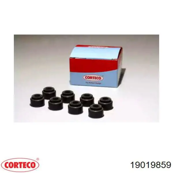 19019859 Corteco сальник клапана (маслознімний, впуск/випуск, комплект на мотор)