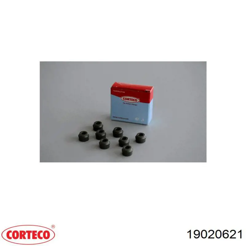 19020621 Corteco сальник клапана (маслознімний, впуск/випуск, комплект на мотор)