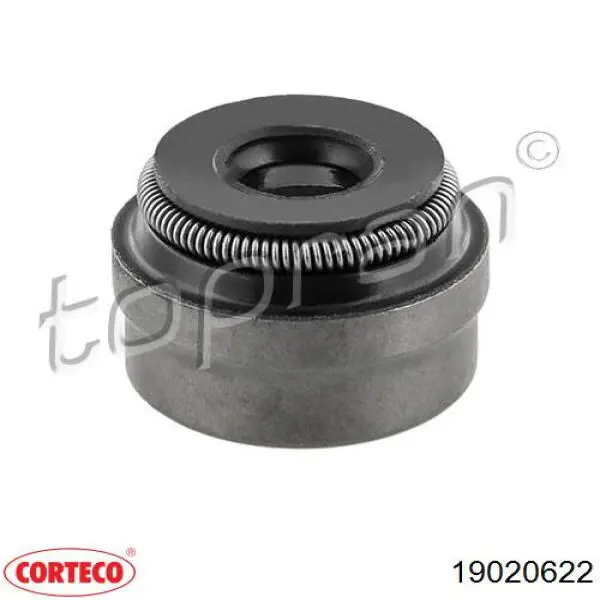 19020622 Corteco сальник клапана (маслознімний, впуск/випуск, комплект на мотор)