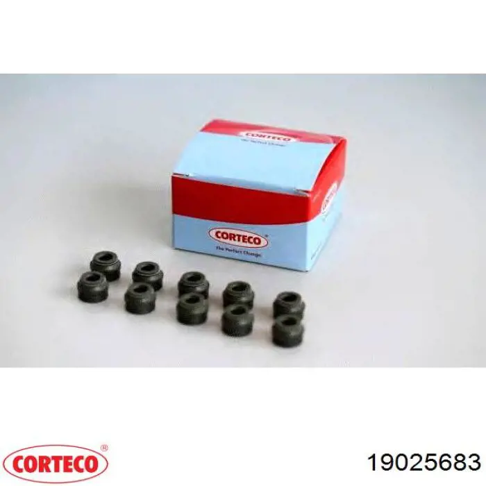 19025683 Corteco сальник клапана (маслознімний, впуск/випуск, комплект на мотор)