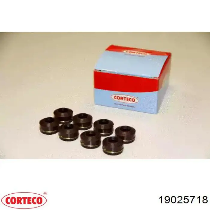  19025718 Corteco