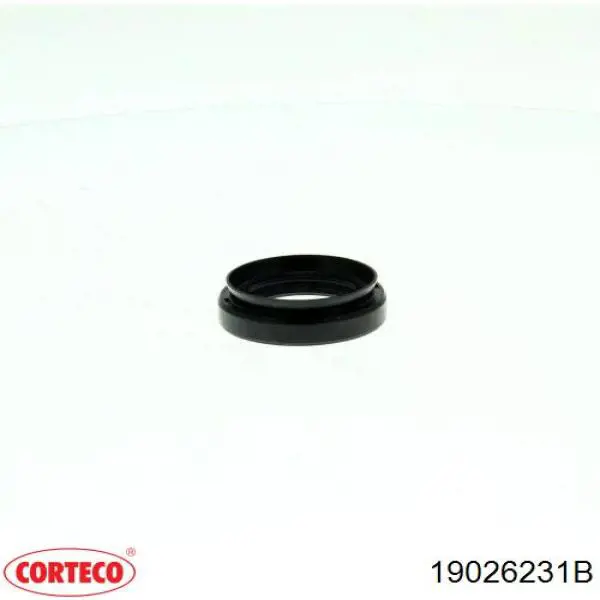 19026231B Corteco 
