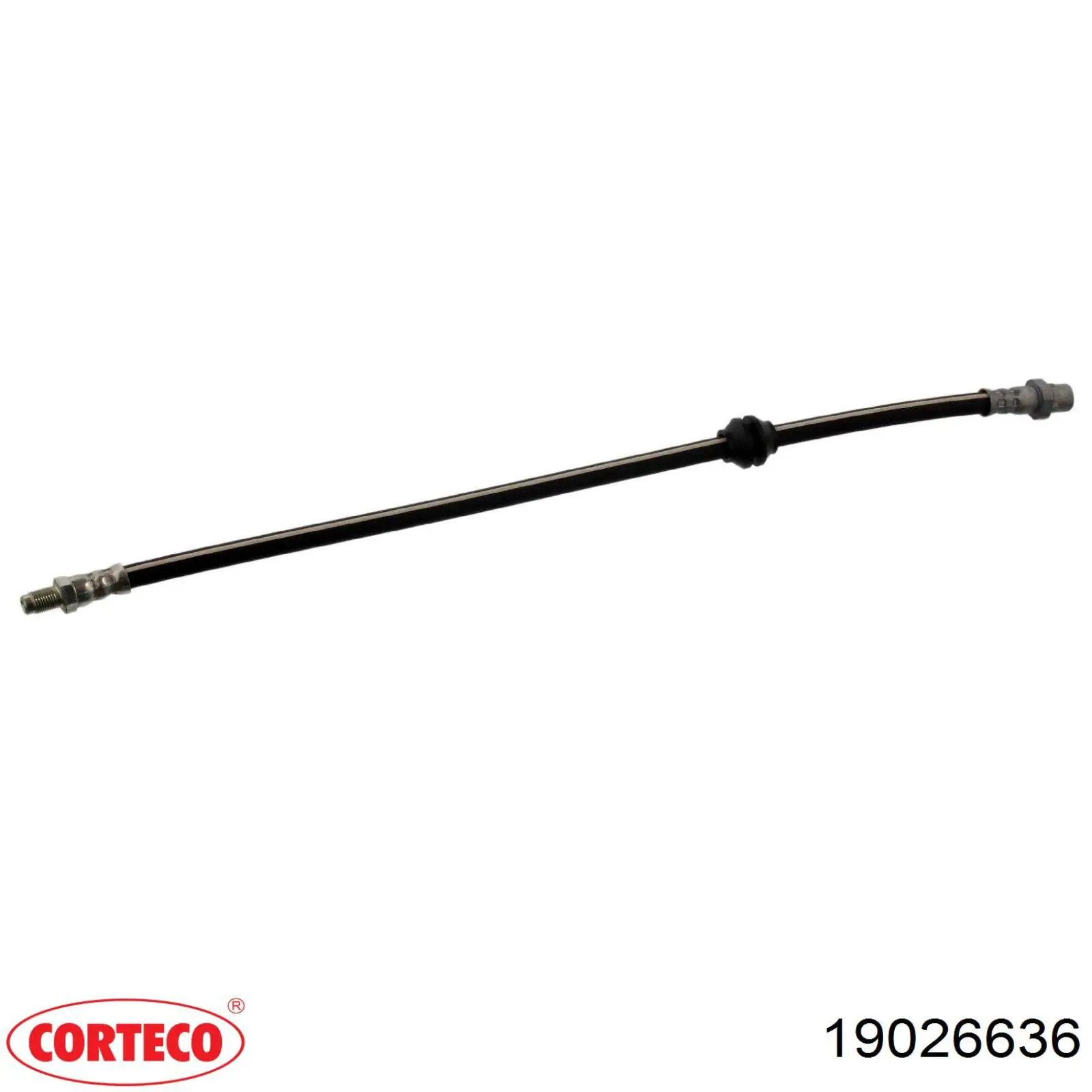 Шланг гальмівний передній Corteco 19026636 ціна, від 8.15 USD