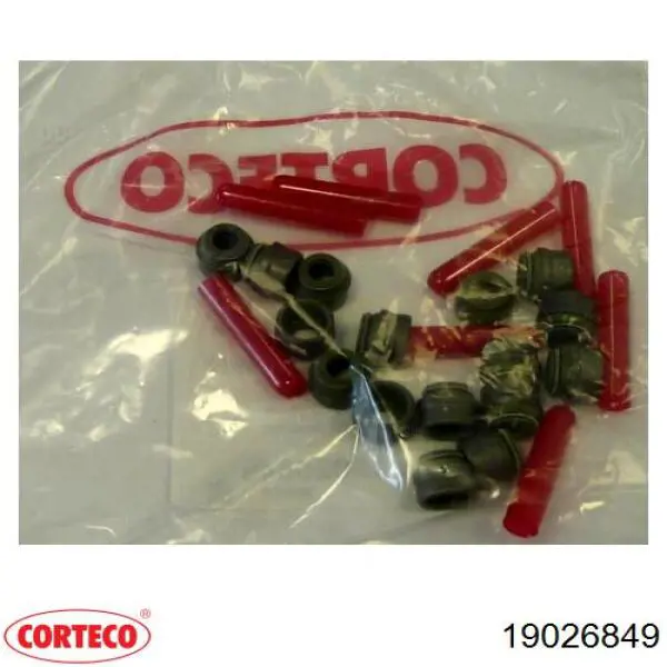 19026849 Corteco сальник клапана (маслознімний, впуск/випуск)