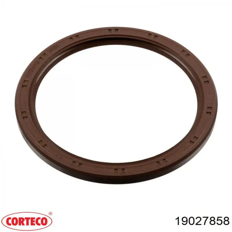 Сальник колінвала двигуна, задній Corteco 19027858 ціна, від 13.75 USD