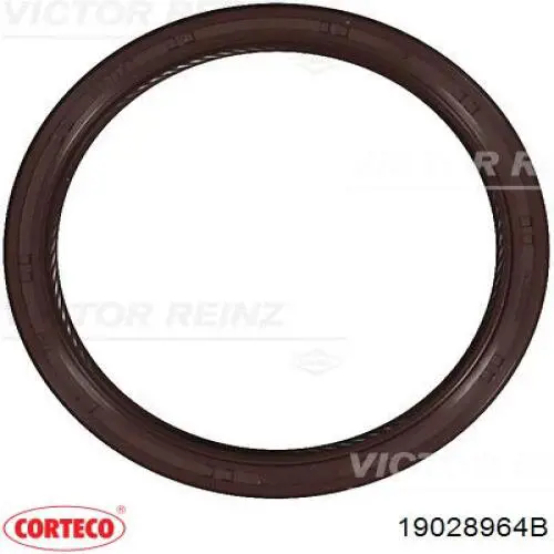 Сальник коленвала двигуна, передній Corteco 19028964B ціна, від 11.64 USD