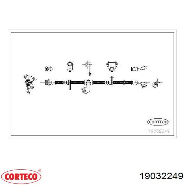  19032249 Corteco