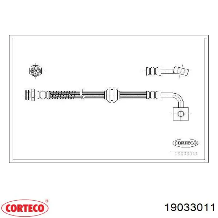  19033011 Corteco