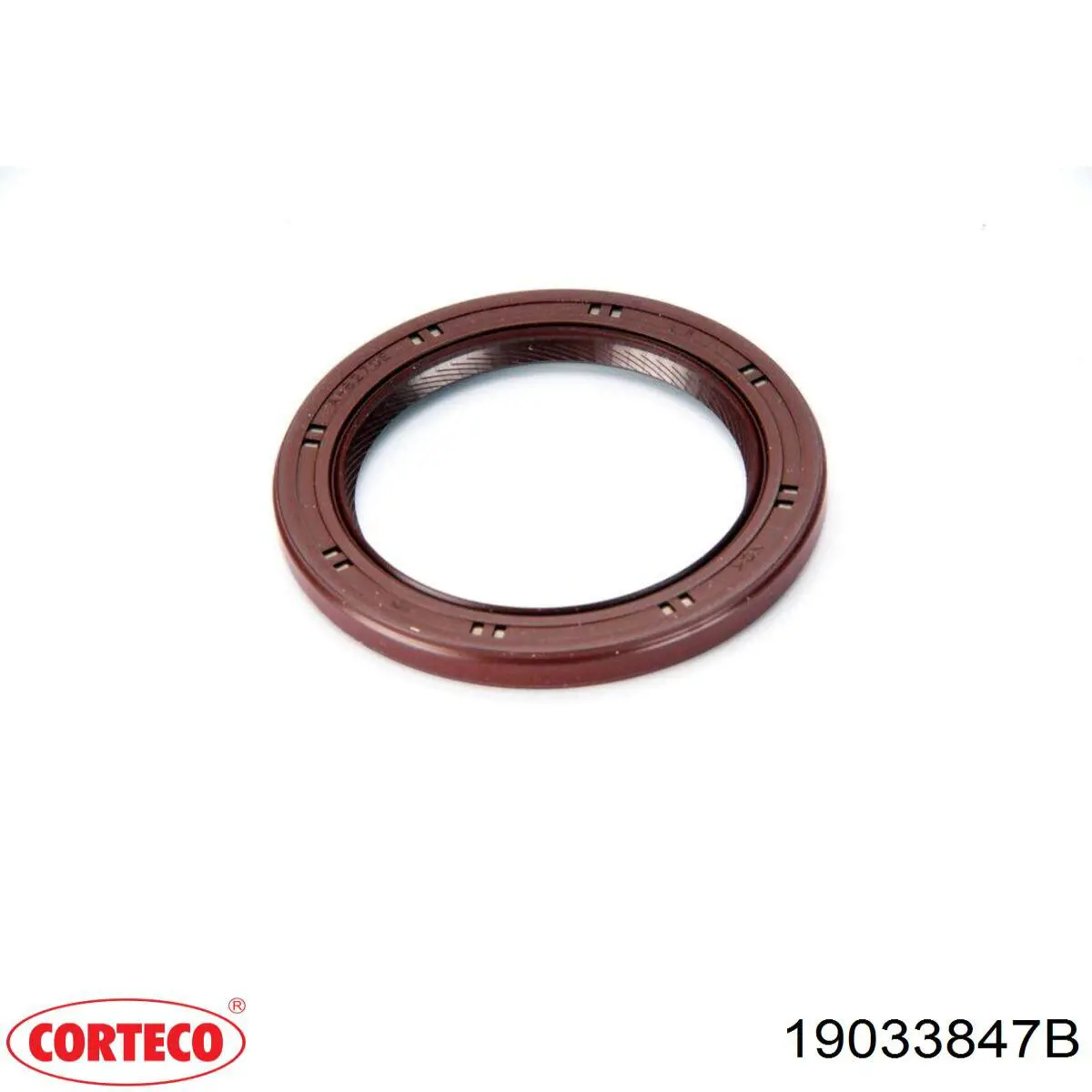 Сальник коленвала двигуна, передній Corteco 19033847B ціна, від 14.23 USD