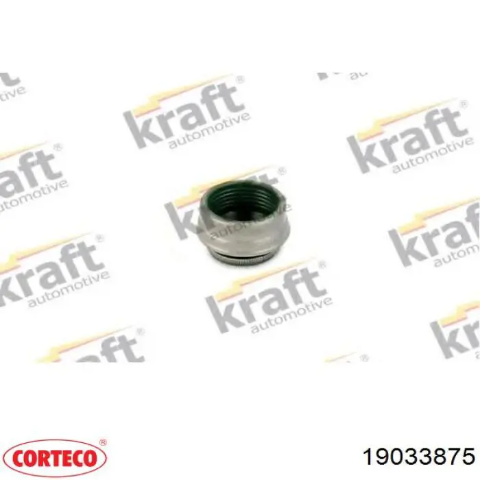 19033875 Corteco Сальник клапана (маслознімний), впуск/випуск, комплект на мотор