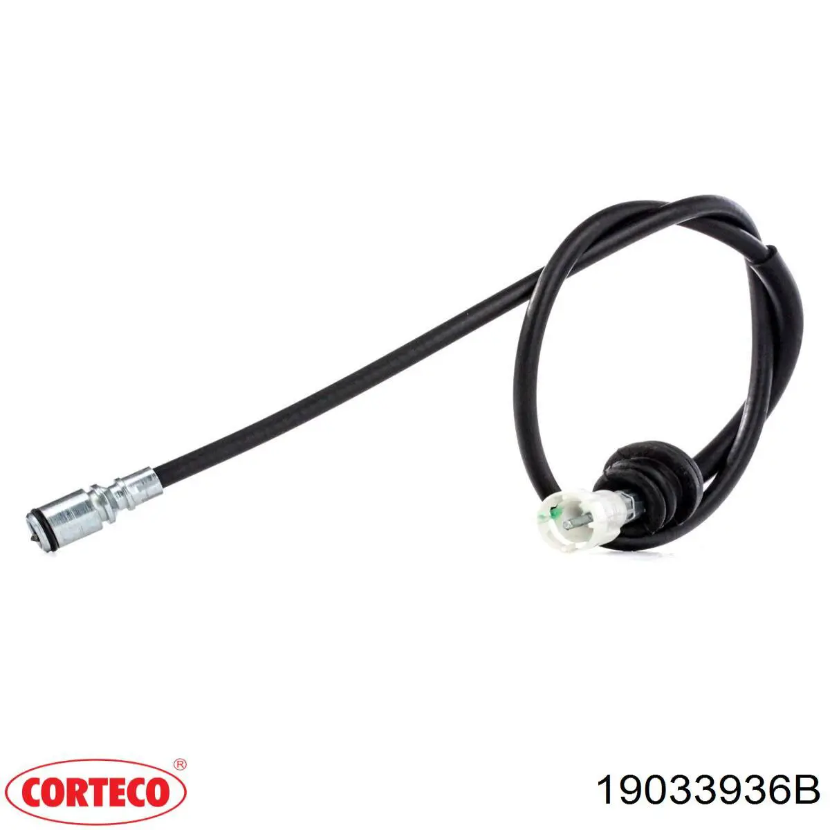 19033936B Corteco 