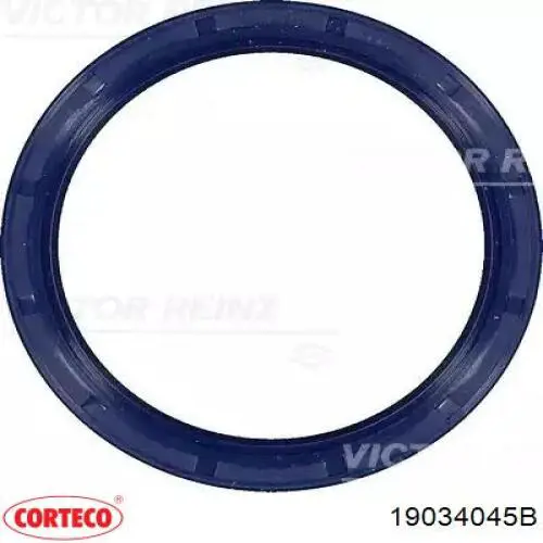 Сальник АКПП/КПП, вхідного/первинного валу Corteco 19034045B ціна, від 5.62 USD