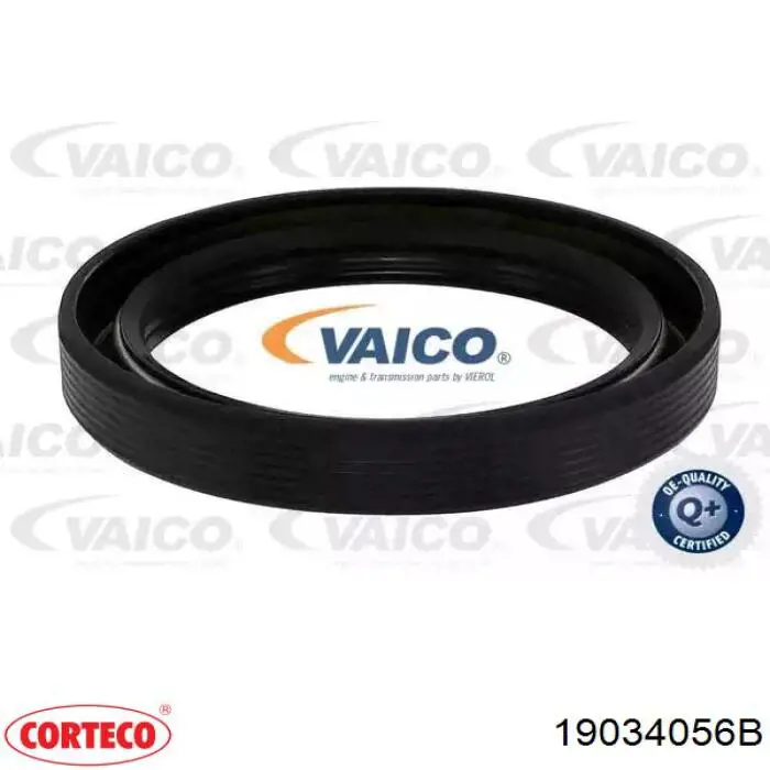 Сальник АКПП/КПП, вхідного/первинного валу Corteco 19034056B ціна, від 8.78 USD