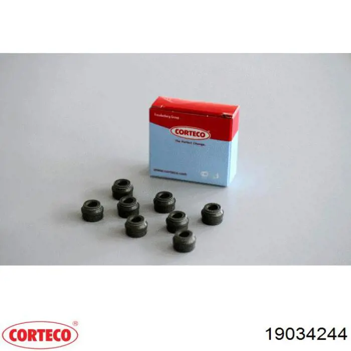 Купити 19034244 Corteco 