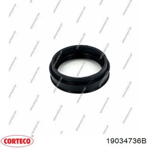 Купити 19034736B Corteco Сальник задньої маточини