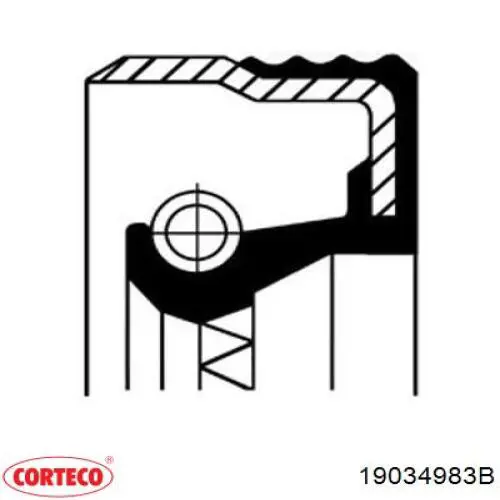 Купити 19034983 Corteco Сальник хвостовика