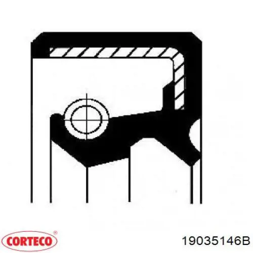 Сальник задньої маточини 19035146B Corteco