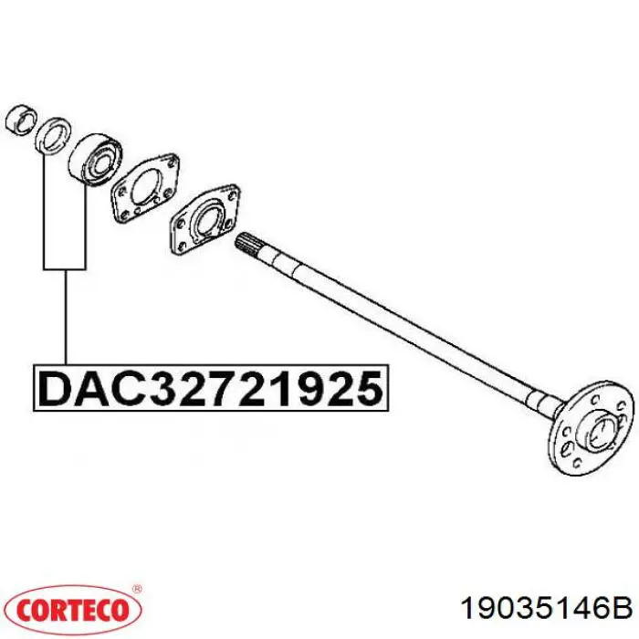 19035146B Corteco Сальник задньої маточини