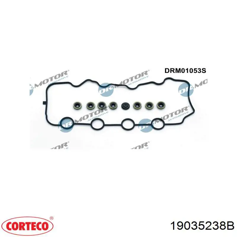  19035238B Corteco