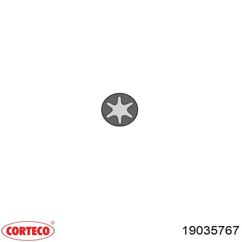 Купити 19035767 Corteco Сальник клапана (маслознімний), впускного, комплект