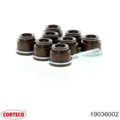 19036002 Corteco сальник клапана (маслознімний, впуск/випуск)
