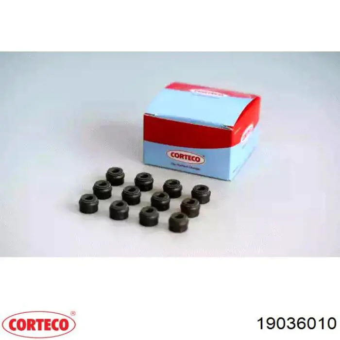 19036010 Corteco 