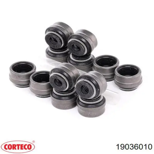  Corteco 19036010 ціна, від 8.55 USD