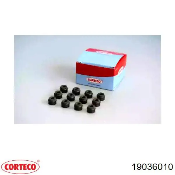 Купити 19036010 Corteco 