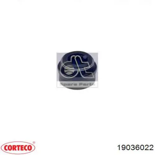 19036022 Corteco сальник клапана (маслознімний, впуск/випуск, комплект на мотор)