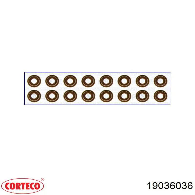 Сальник клапана 19036036 Corteco