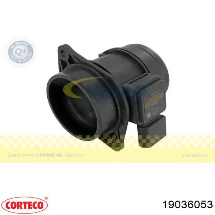 Купити 19036053 Corteco 