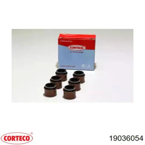 19036054 Corteco 