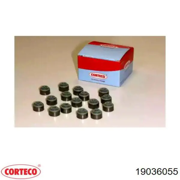 19036055 Corteco сальник клапана (маслознімний, впуск/випуск)