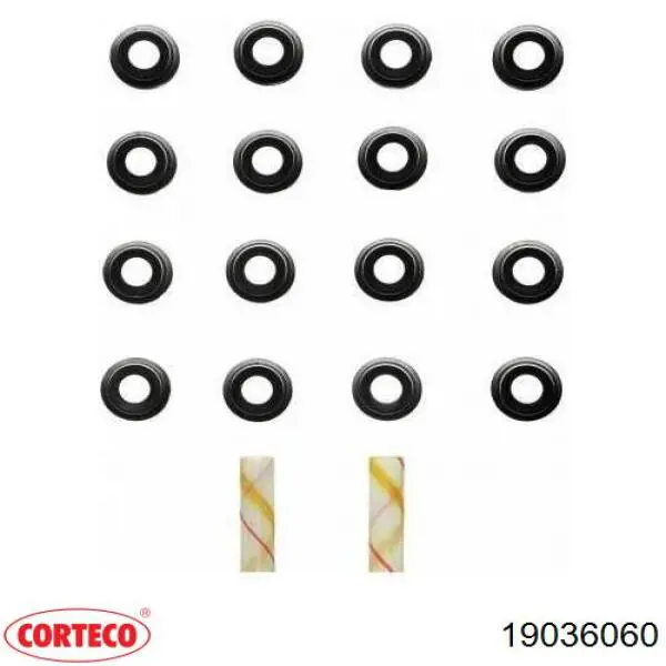 Купити 19036060 Corteco 