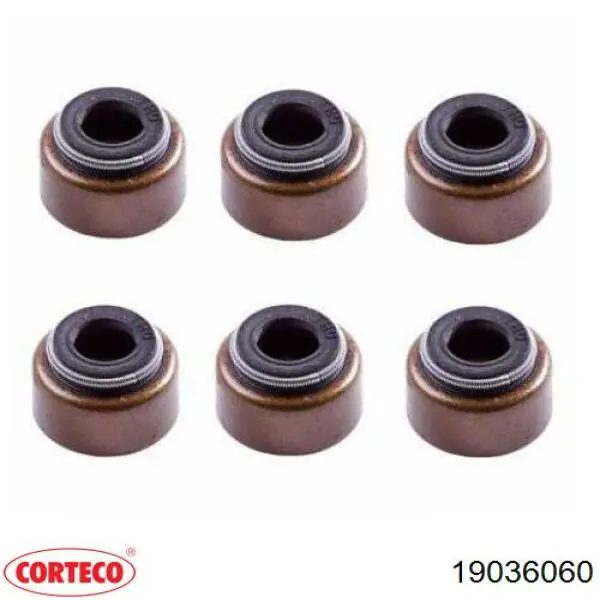 19036060 Corteco 