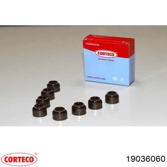  Corteco 19036060 ціна, від 15.50 USD