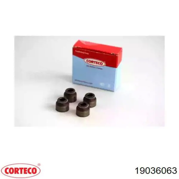Купити 19036063 Corteco Сальник клапана (маслознімний), впуск/випуск, комплект на мотор