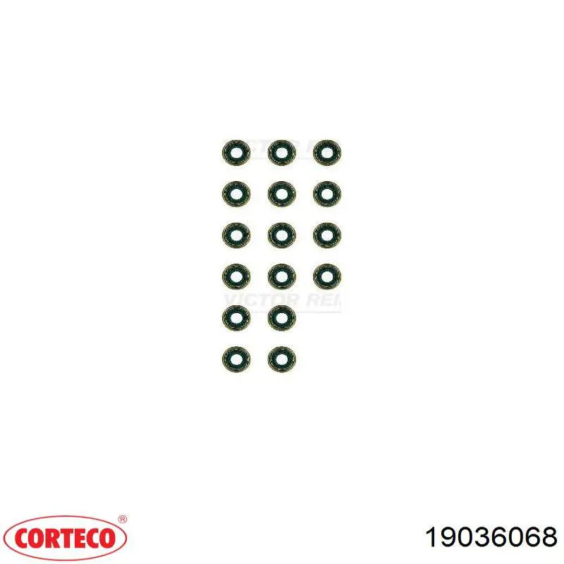 Купити 19036068 Corteco 