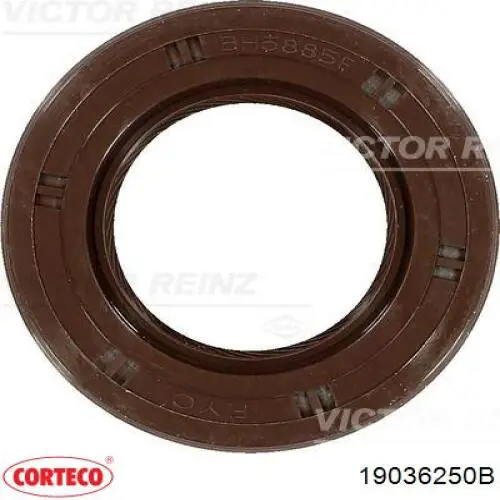 Сальник двигуна, распредвала Corteco 19036250B ціна, від 3.66 USD
