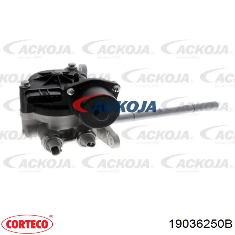 Купити 19036250B Corteco Сальник распредвала